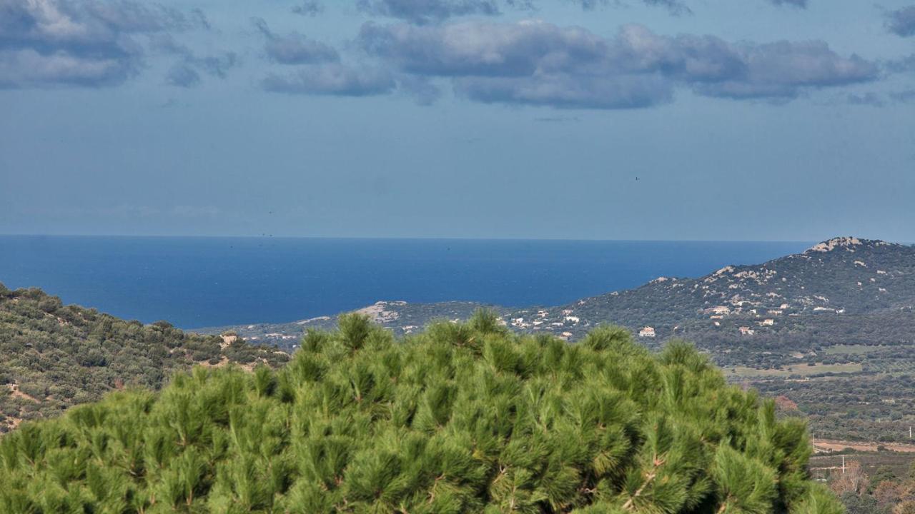 Locations Calenzana 아파트 외부 사진